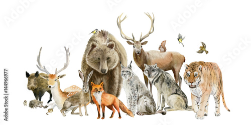 Poster of watercolor hand drawn animal cliparts