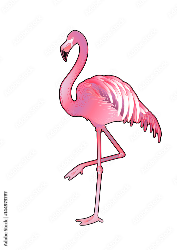 Fototapeta premium Cute graphic flamingo