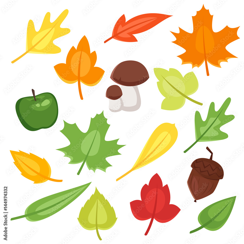 Fototapeta premium Vector cartoon style set of autumn symbols