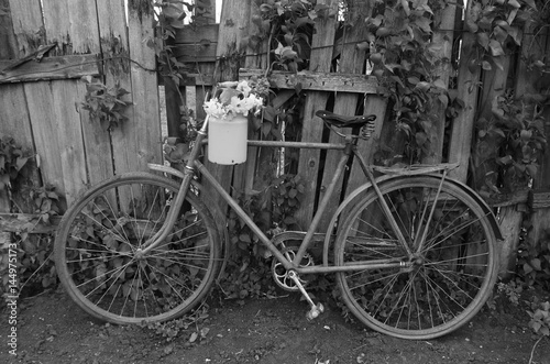 Rural landscape. Old bicycle and flowers. black and white photo © anna_andre