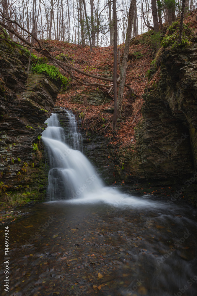 Fototapeta premium Bridesmaid Falls At Bushkill Falls Pennsylvania 