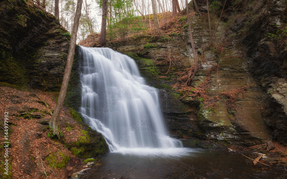 Fototapeta premium Bridal Veil Falls at Bushkill Pennsylvania 