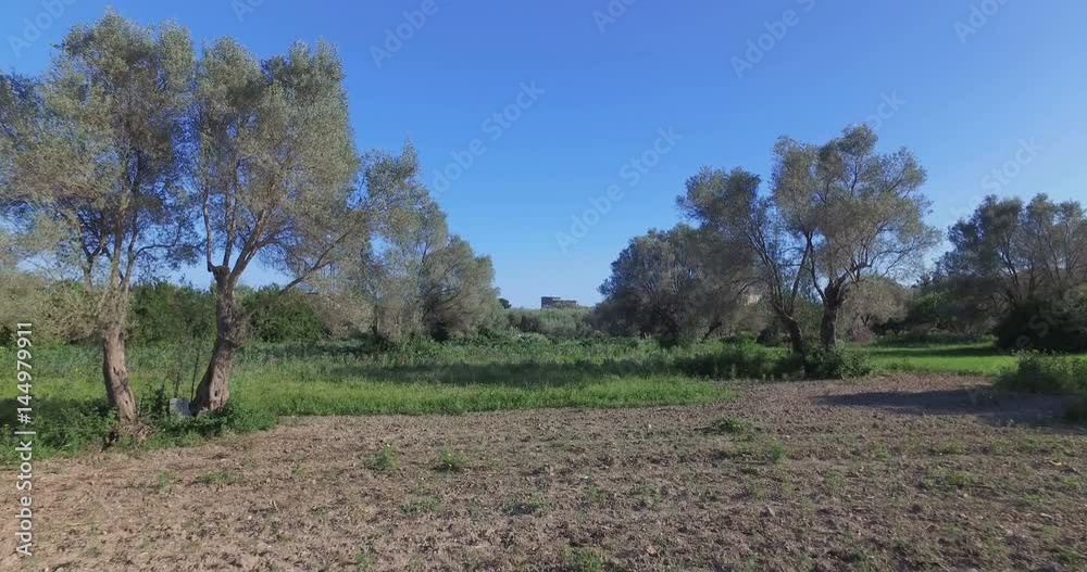 Ragazza alza le mani al cielo felice e contenta in una campagna. Ragazza alza le mani al cielo felice e contenta in una campagna.