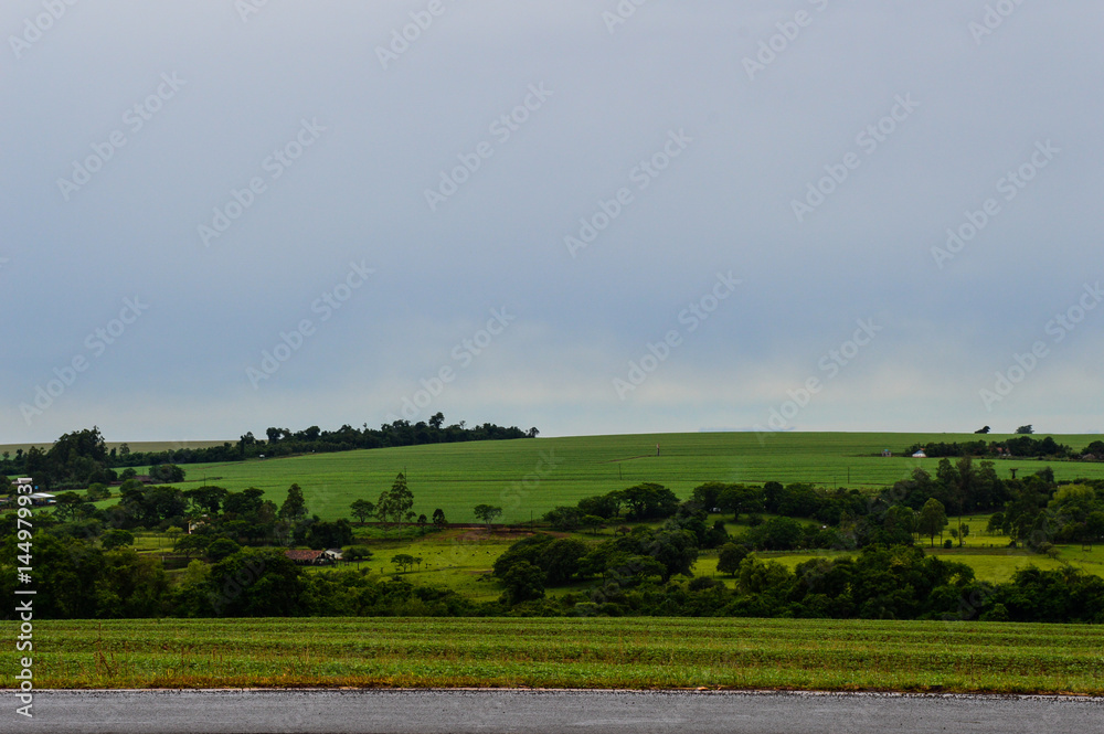 landscape of farm composed by hill crops, trees and houses landscape of farm composed by hill crops, trees and houses