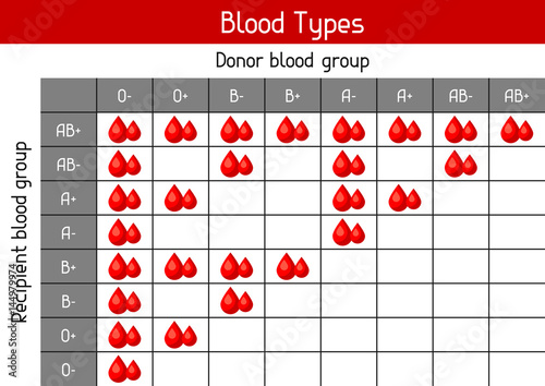 Chart of blood types in drops. Medical and healthcare infographic