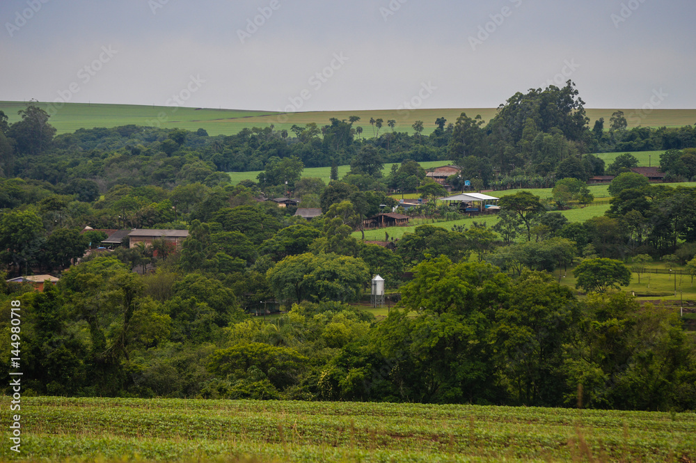 landscape of farm composed by hill crops, trees and houses