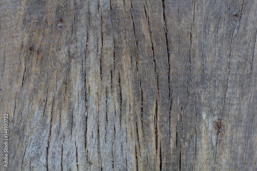 Old wooden texture background. Wood pattern Background.