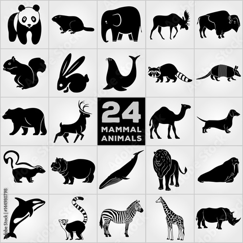 Twenty four Mammalian Animals icon set