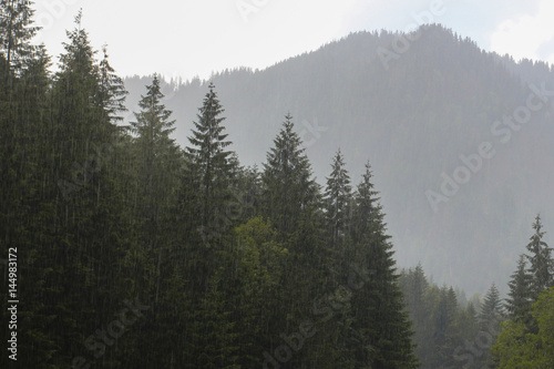 Fototapeta Naklejka Na Ścianę i Meble -  Landscape  of the forest and mountains with rain
