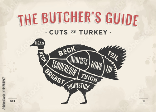 Cut of meat set. Poster Butcher diagram, scheme - Turkey. Vintage typographic hand-drawn turkey silhouette for butcher shop, restaurant menu, graphic design. Meat, poultry theme. Vector Illustration