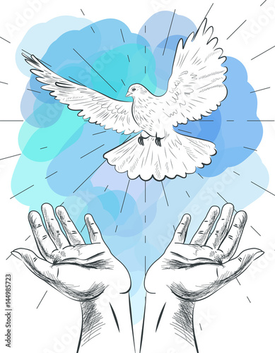 Sketch of hands let go dove of the world. Symbol of peace. Illustration of freedom and world without war.