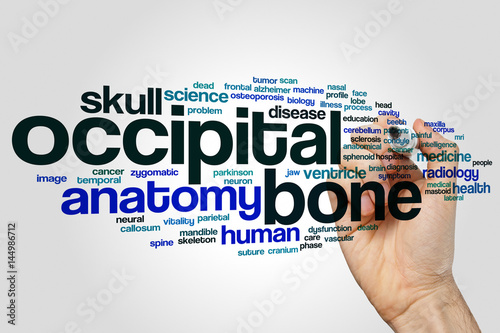 Occipital bone word cloud