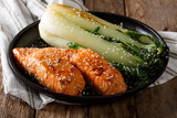 Glazed salmon fillet with sesame seeds and roasted cabbage bok choy close-up. horizontal