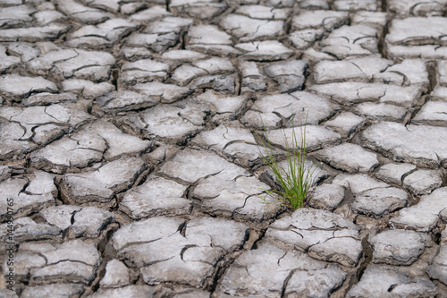 Cracked Earth