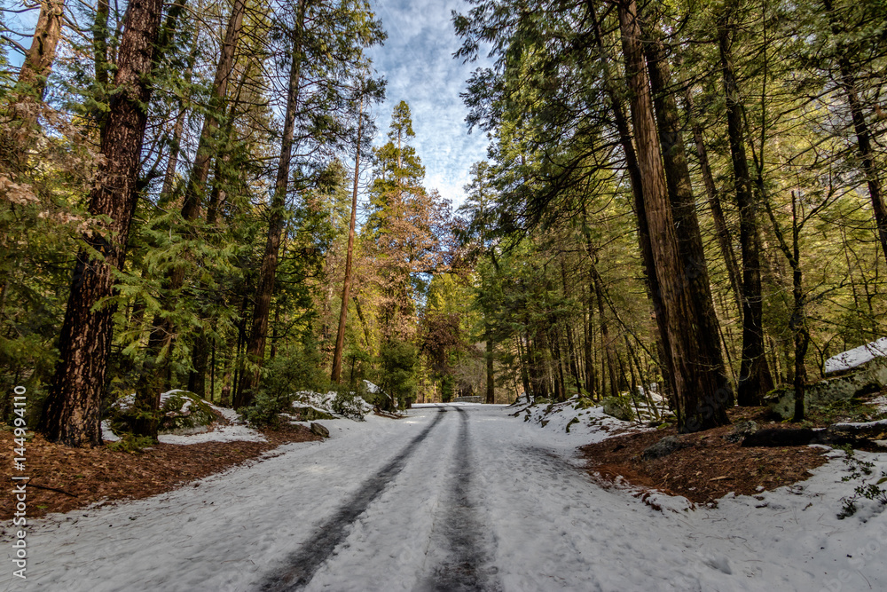 Road covered with snow at winter - Yosemite National Parl, California, USA