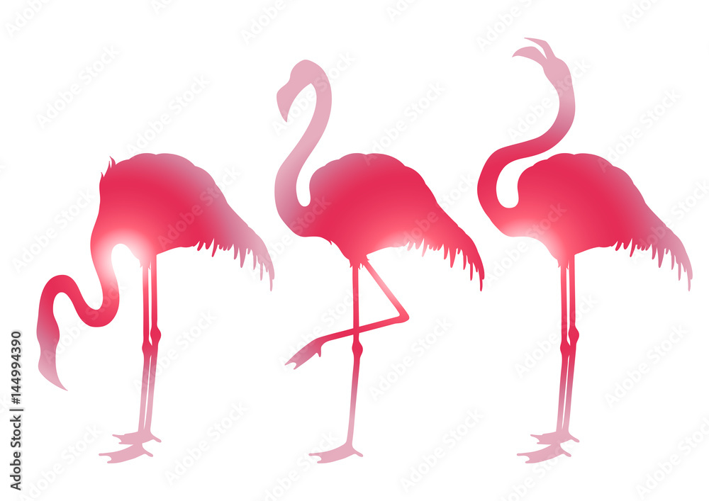 Fototapeta premium Cute graphic flamingo