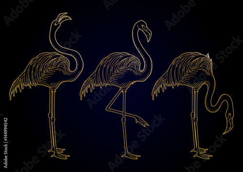 Cute graphic flamingo