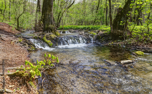 The Szalajka Valley in Hungary