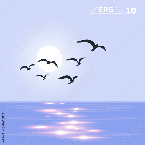 ocean on day with birds silhouette illustration vector design