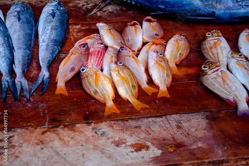 Fisheries Activities And Fish Market In Negombo, Sri Lanka. Negombo Is Known For Its Centuries Old Fishing Industry With Busy Fish Markets And Long Sandy Beaches
