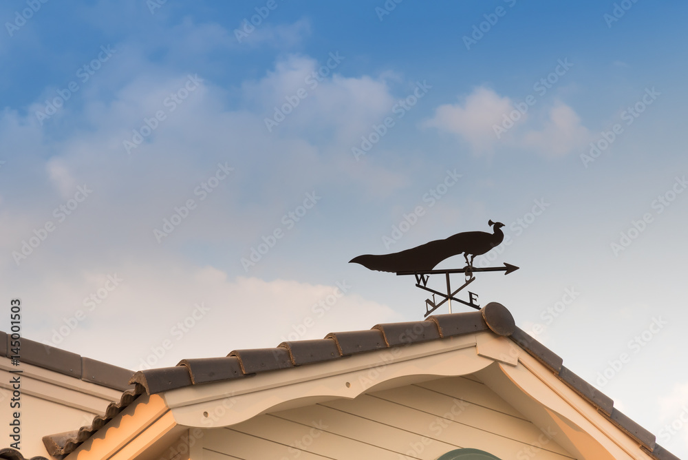 Weathervane with peacock above an arrow and the four cardinal points North East West South Weathervane with peacock above an arrow and the four cardinal points North East West South