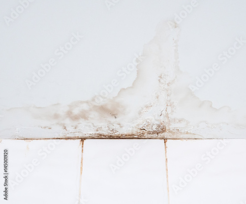Obraz na płótnie Water stain from the leak. w salonie