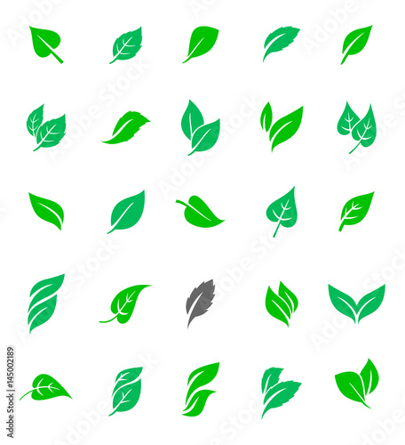 Set of green leaves.
