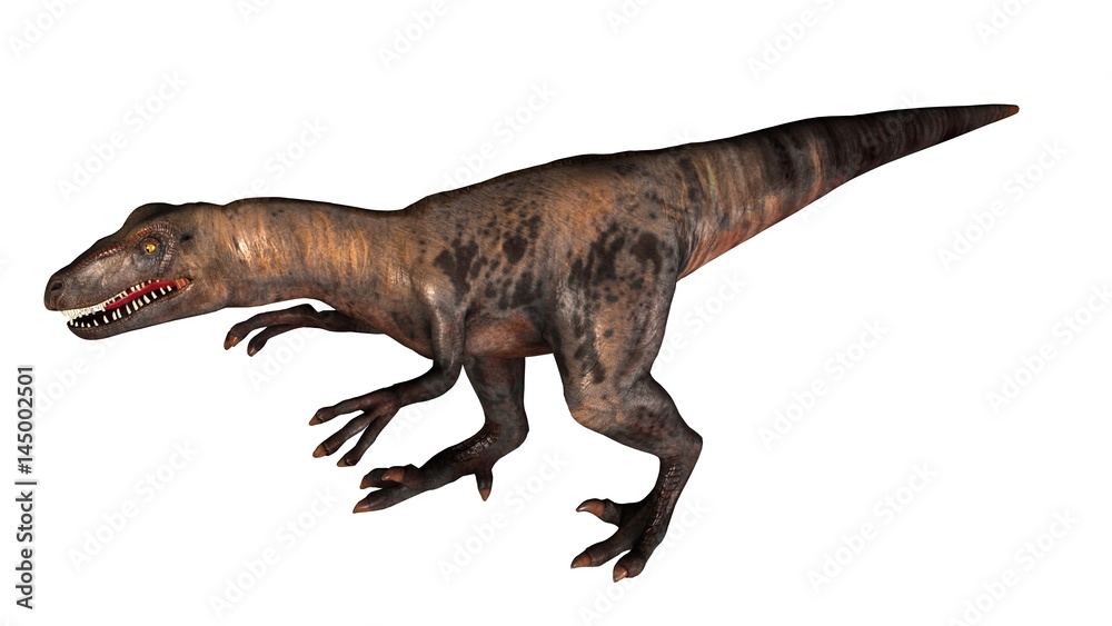 Raptor Velociraptor dinosours - isolated on white background Raptor Velociraptor dinosours - isolated on white background
