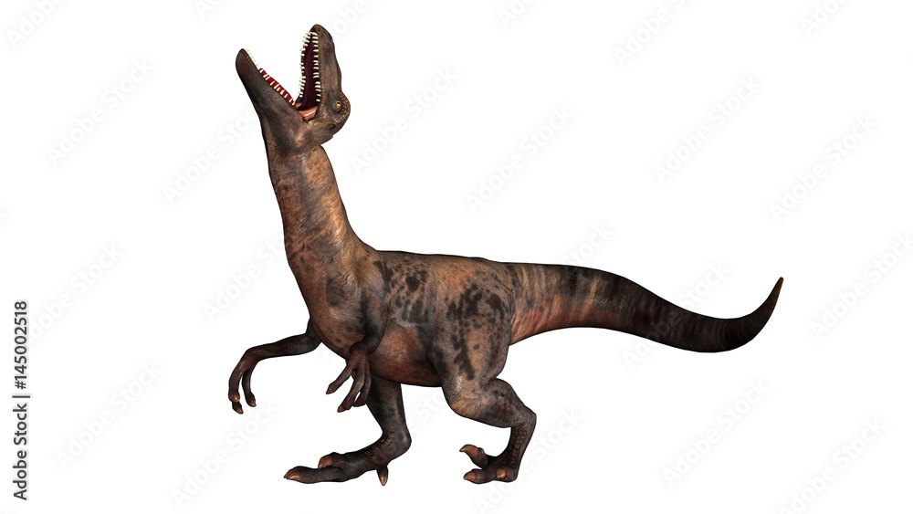 Raptor Velociraptor dinosours - isolated on white background Raptor Velociraptor dinosours - isolated on white background