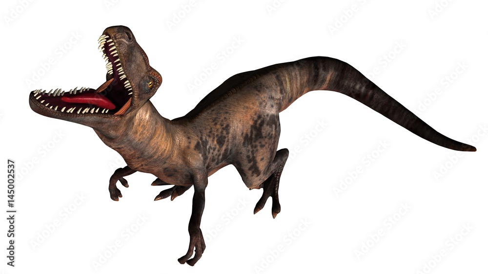 Raptor Velociraptor dinosours - isolated on white background Raptor Velociraptor dinosours - isolated on white background