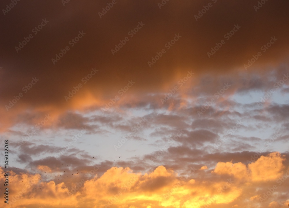 Naklejka premium Orange sunset