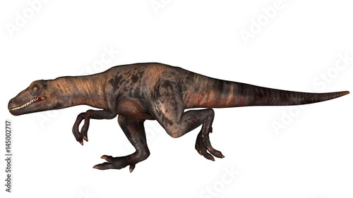 Raptor Velociraptor dinosours - isolated on white background © Riko Best