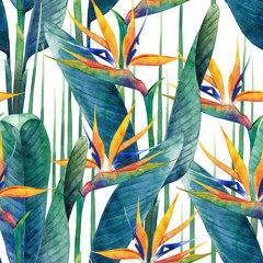 Fototapete Tropische Paradiesblumen-Muster Aquarell Strelitzia Tropisches Blumenmuster  © Ekaterina Glazkova