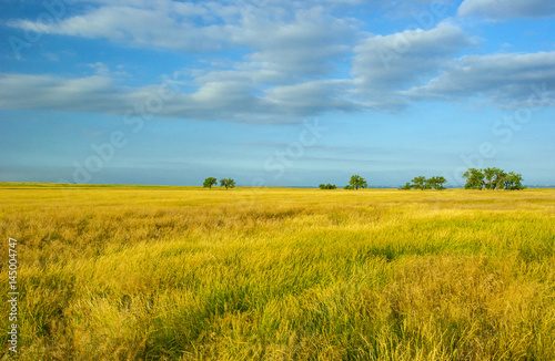 Ogallala National Grassland