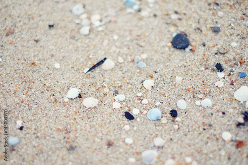 Sea Sand and Seashells