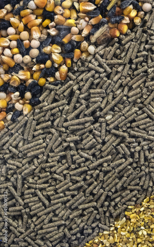 Different types of animal feed for background.