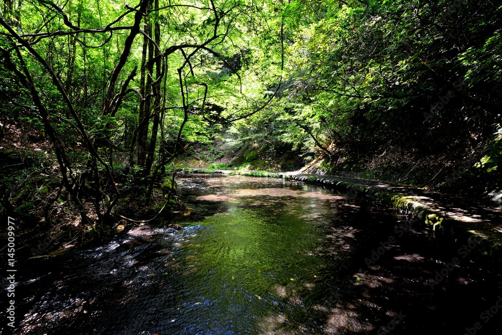 Obraz premium 岳切渓谷