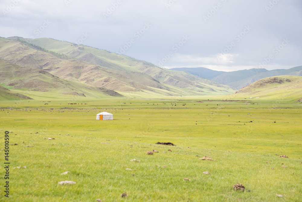 Obraz premium Yourte dans la steppe Mongole