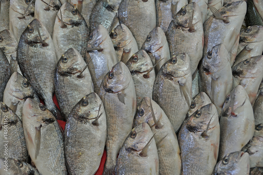 Obraz premium Sea fish is freshly caught and sold on food stalls