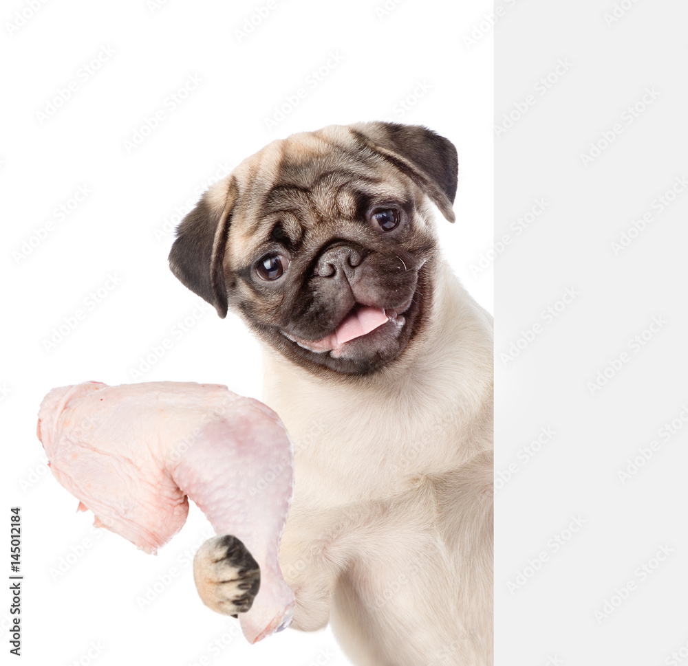 Dog holding a chicken in its paw and peeking from behind empty board. isolated on white background