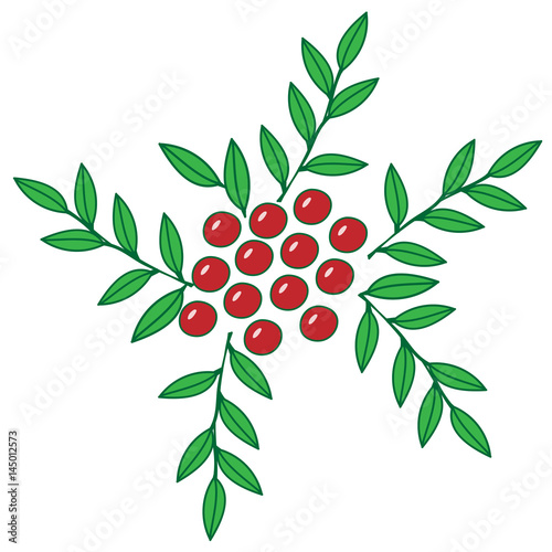 Colorful rowan with leaf isolated on the white background