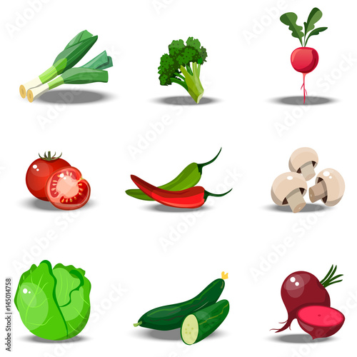 set with fresh healty vegetables
