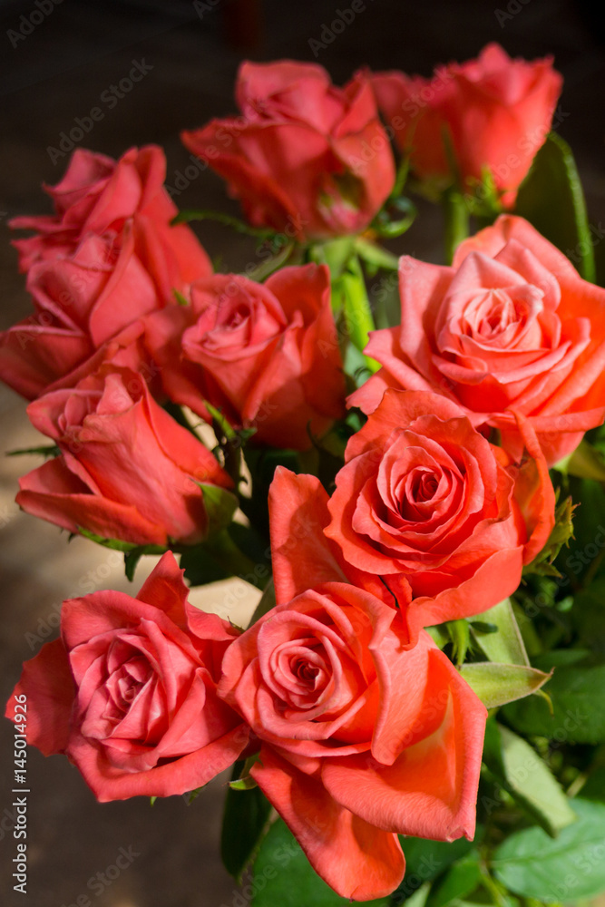 Red rose flowers on the bright background