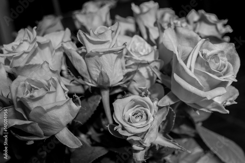 Black and white rose flowers