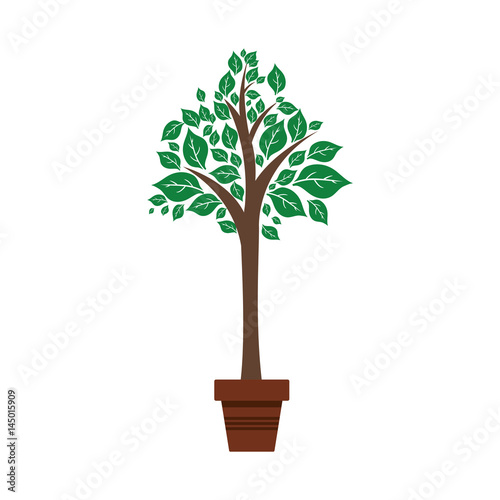 Natural plant ecology icon vector illustration graphic design