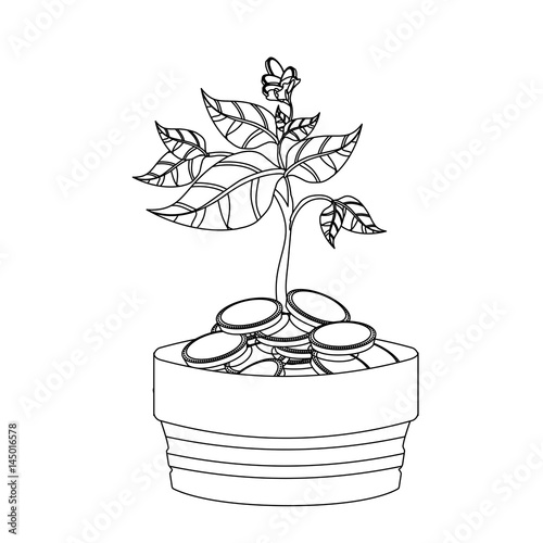 Money sowing symbol icon vector illustration graphic design photo