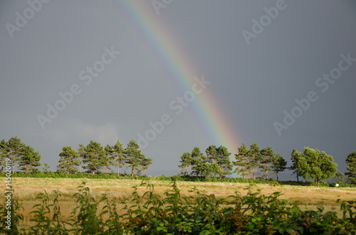 Regenbogen  auf der Halbinsel Holnis in der Flensburger F  rde.