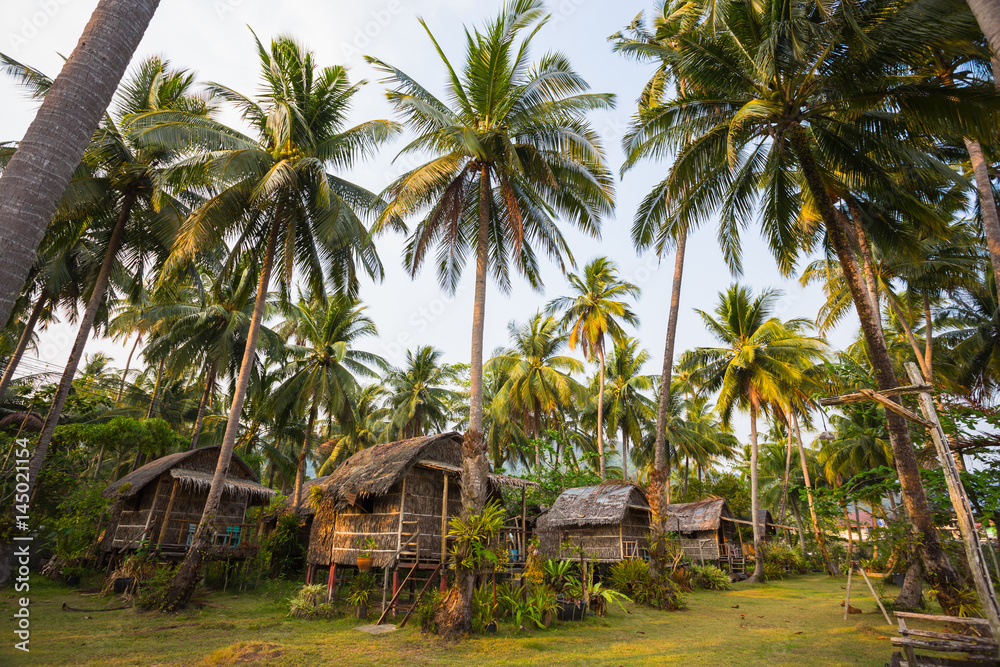 Beautiful tropical forest at island Koh Chang Beautiful tropical forest at island Koh Chang