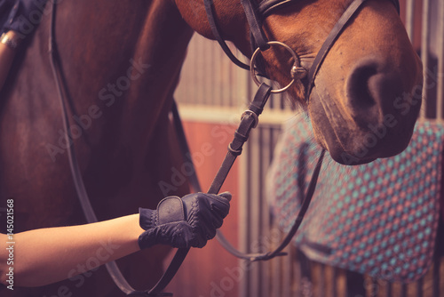 Schilderij op canvas Female rider with white gloves holding the reins of a brown horse