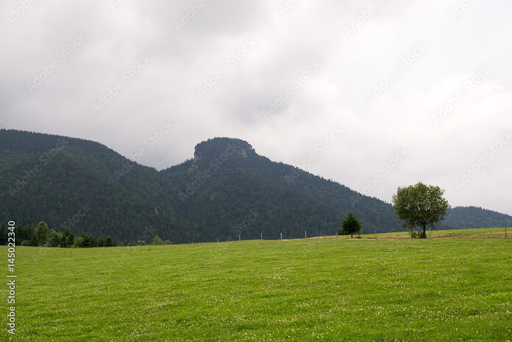 Meadow with trees and views to mountains and town. Slovakia Meadow with trees and views to mountains and town. Slovakia